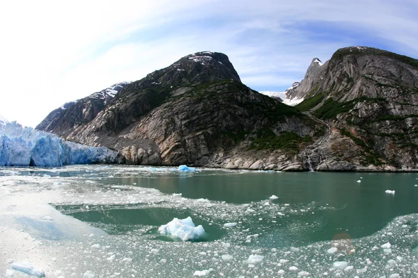 Glacier bay, alaska, usa — Stockfoto