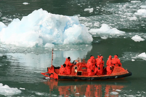 氷河湾、アラスカ、米国 — ストック写真