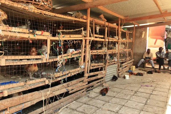Куриный рынок - Сороти, Уганда, Африка — стоковое фото