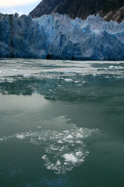 Gletscherbucht, Alaska, USA — Stockfoto