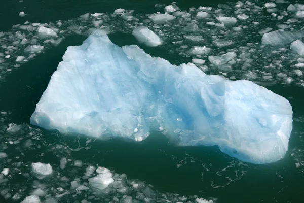 阿拉斯加冰河湾美国 — 图库照片
