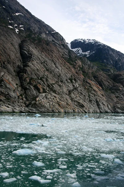 Gletscherbucht, Alaska, USA — Stockfoto