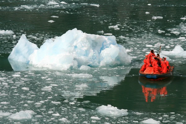 Gletscherbucht, Alaska, USA — Stockfoto