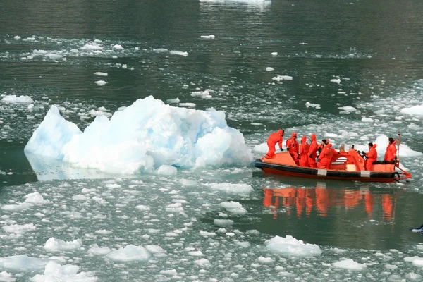 Gletscherbucht, Alaska, USA — Stockfoto