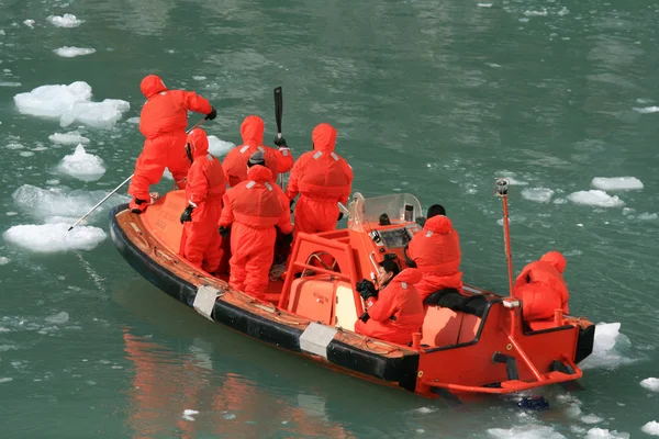 Glacier Bay, Alaska, EE.UU. — Foto de Stock