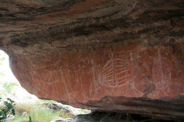 yerli kaya sanatı - kakadu Ulusal Parkı, Avustralya