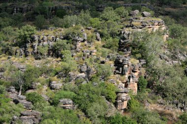 Kakadu Ulusal Parkı, Avustralya
