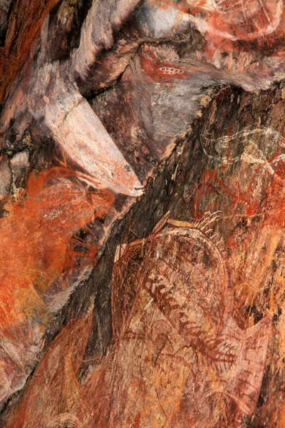 Domorodé skalní umění - kakadu national park, Austrálie — Stock fotografie