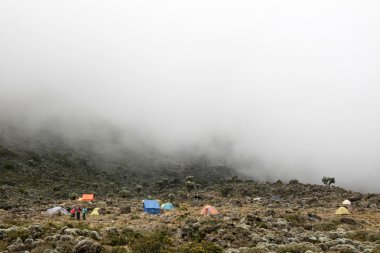 MT kilimanjaro, Tanzanya, Afrika
