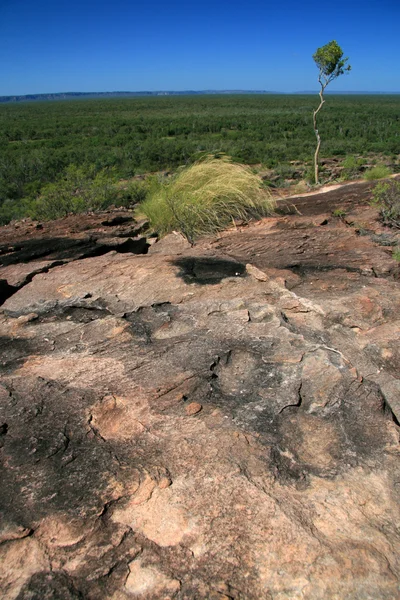 Kakadu National Park, Ausztrália — Stock Fotó