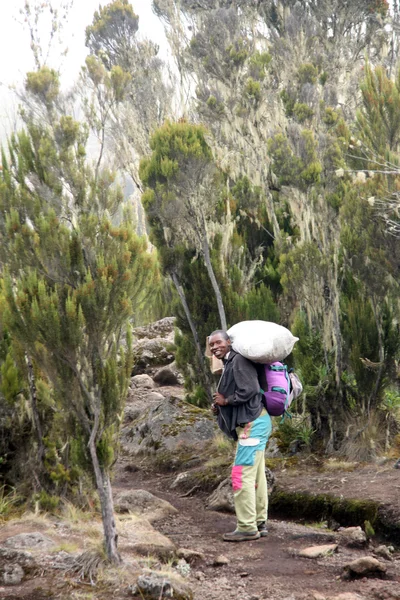 Mt Kilimandjaro, Tanzanie, Afrique — Photo