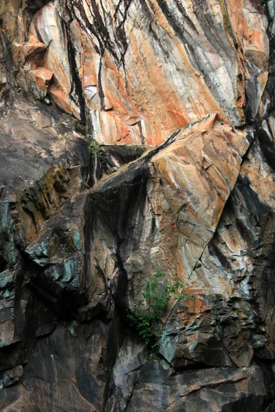 Kakadu national park, Austrálie — Stock fotografie