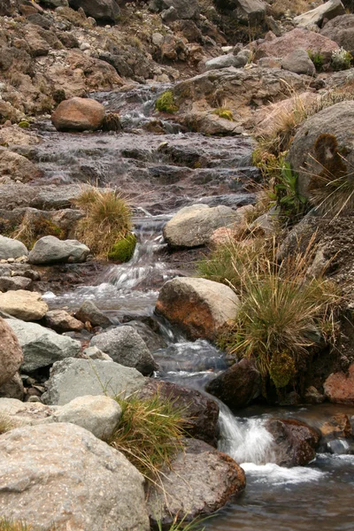 Mt Kilimanjaro, Tanzania, Africa — Stock Photo, Image