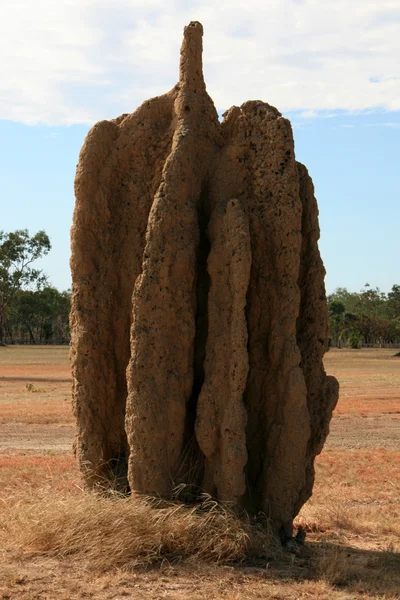 Kopca termitów - kakadu national park, Stany Zjednoczone Ameryki — Zdjęcie stockowe