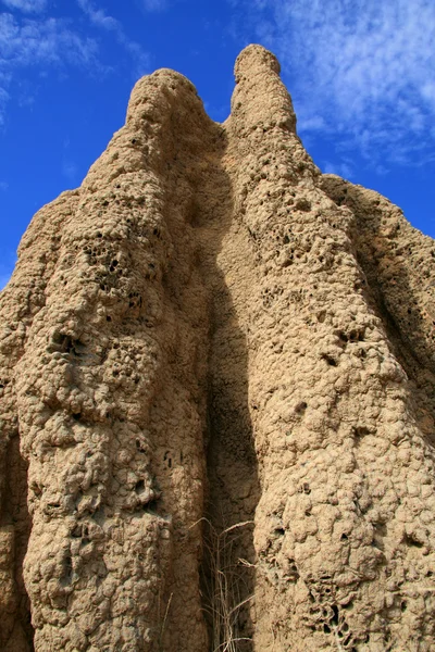 Termite Mound - Kakadu National Park, Australia — Stock Photo, Image