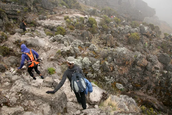 MT kilimanjaro, tanzania, Afrika — Stockfoto