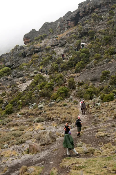 MT kilimanjaro, tanzania, Afrika — Stockfoto