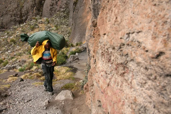 Mt Kilimandżaro, tanzania, Afryka — Zdjęcie stockowe