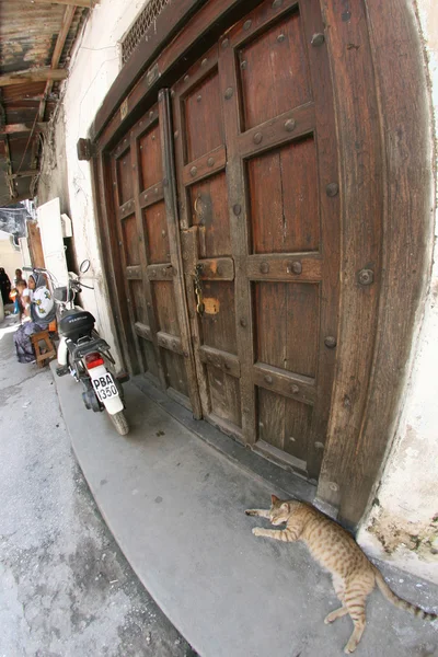 Kamenné město zanzibar — Stock fotografie