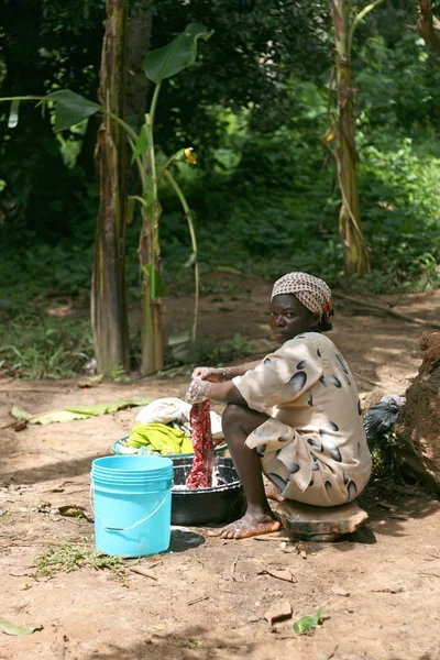 Przyprawa tour, zanzibar — Zdjęcie stockowe