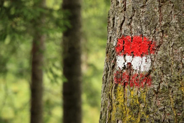 Trail Marker Австрия — стоковое фото