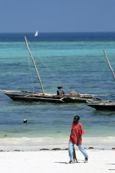 Playa Matemwe, Zanzíbar — Foto de Stock