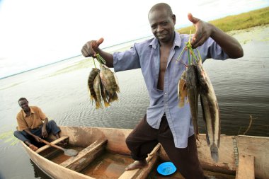 Göl manzara - göl bisina - uganda, Afrika