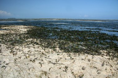 Matemwe Beach, Zanzibar