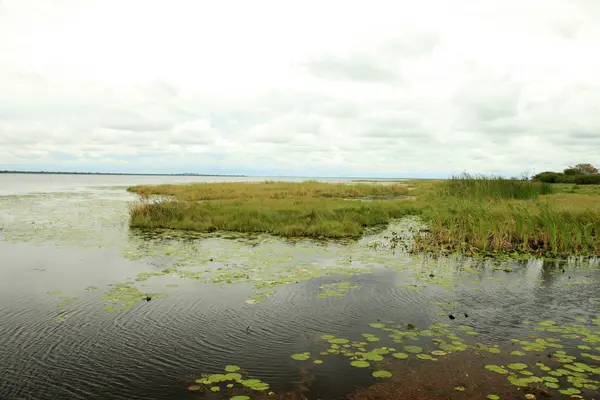 Göl manzara - göl bisina - uganda, Afrika — Stok fotoğraf