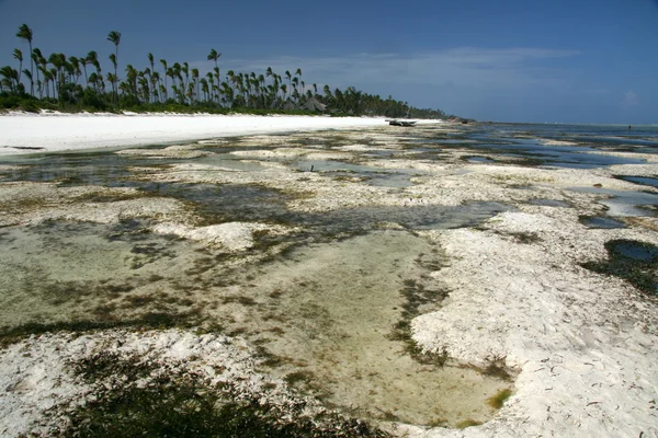 Matemwe Strand, Sansibar — Stockfoto