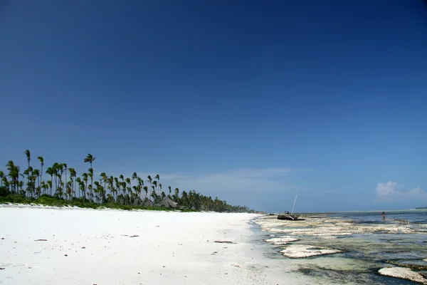 Matemwe Beach, Zanzibar — Stock Photo, Image