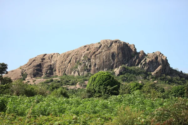 Uganda, afrika — Stockfoto