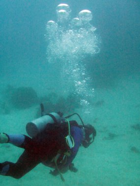 Büyük Set Resifi, Avustralya