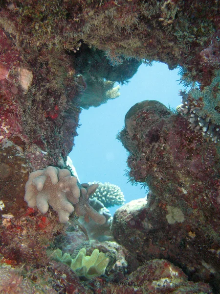 Gran Barrera de Coral, Australia — Foto de Stock