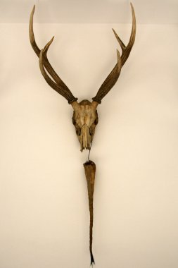 yeniden birleşme Sarayı, vietnam