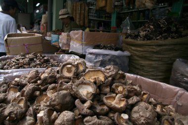 Cholon'un, ho chi minh