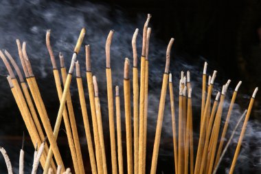 Ngoc oğlu Tapınağı, hanoi