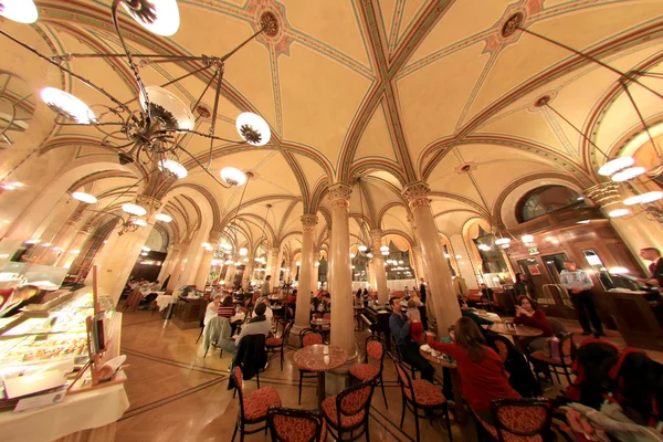 Merkezi kafe, Viyana