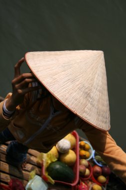 meyve satıcı - halong Körfezi (unesco), vietnam