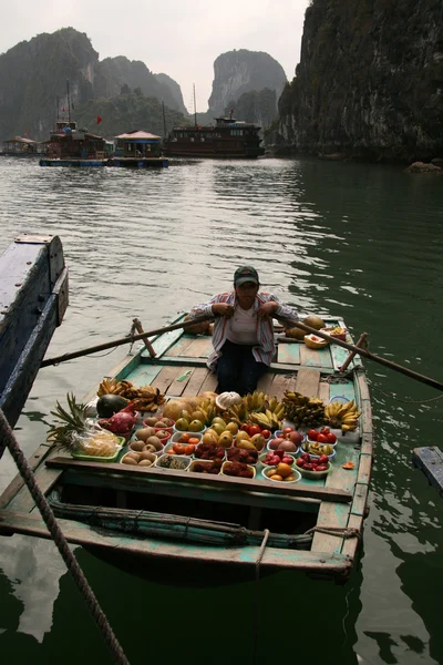 Bahía de Halong (UNESCO), Vietnam —  Fotos de Stock