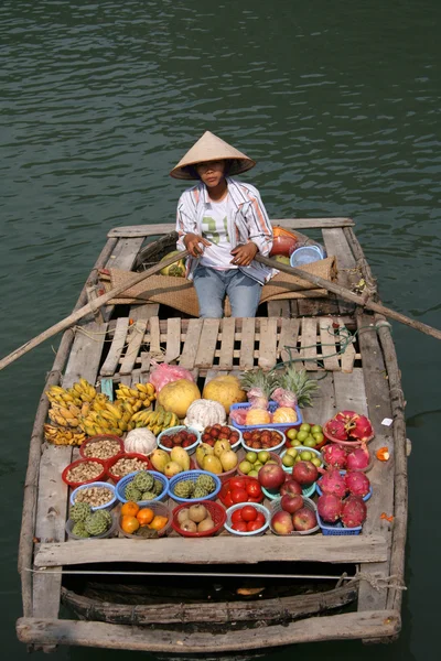 Obstverkäufer - Halong Bay (Unesco), Vietnam — Stockfoto
