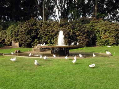 Çeşme - hyde park, sydney, Avustralya