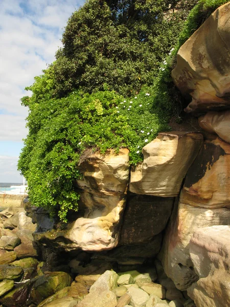Bondi beach, sydney, Austrálie — Stock fotografie