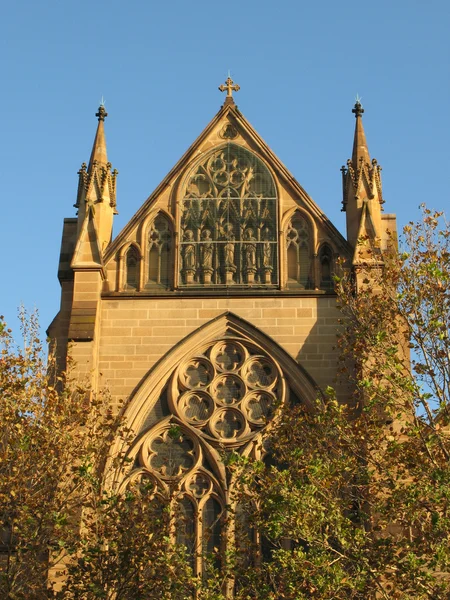 A St mary katedrális, sydney, Ausztrália — Stock Fotó