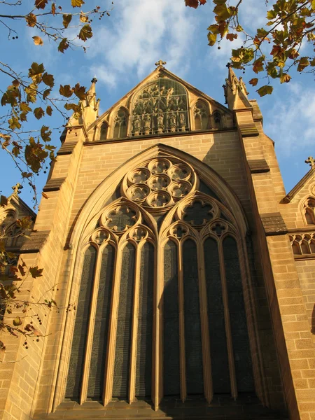 A St mary katedrális, sydney, Ausztrália — Stock Fotó