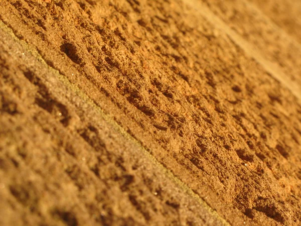 Brick Wall Closeup - Catedral de Santa Maria, Sydney, Austrália — Fotografia de Stock