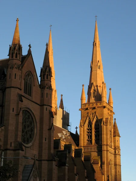 A St mary katedrális, sydney, Ausztrália — Stock Fotó