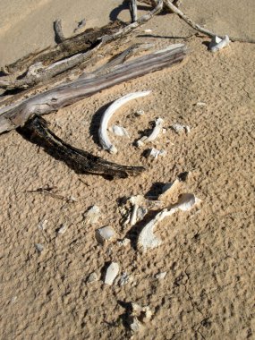 Willandra Göller Milli Parkı, unesco, Avustralya