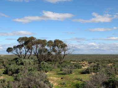 Grassy Plains - Willandra Lakes Ulusal Parkı, UNESCO, Avustralya