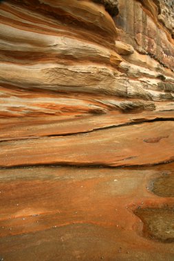 Deniz kenarındaki Kaya oluşumları - Botany Körfezi, Sydney, Avustralya